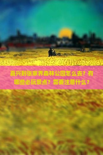 嘉兴到张家界森林公园哪里玩