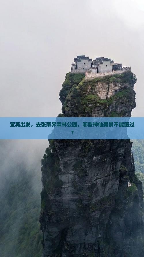 宜宾去张家界森林公园哪里玩 宜宾去张家界森林公园哪里玩