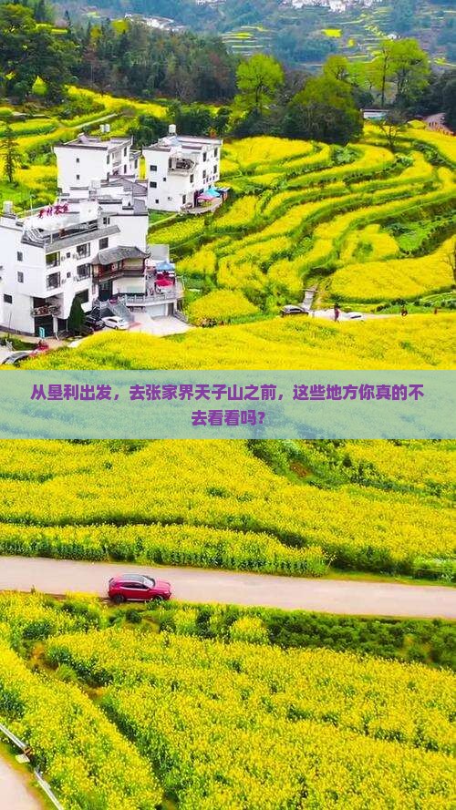垦利到张家界天子山必去地