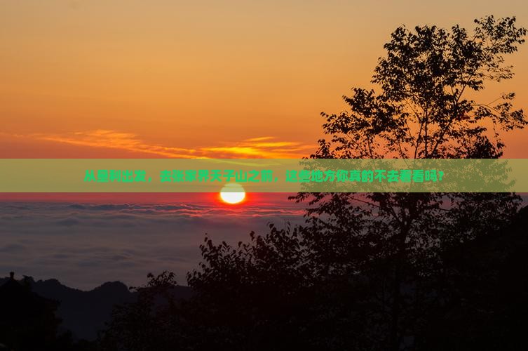 垦利到张家界天子山必去地