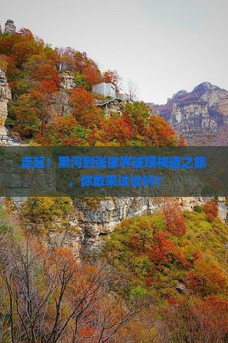 黑河到张家界玻璃栈道旅游