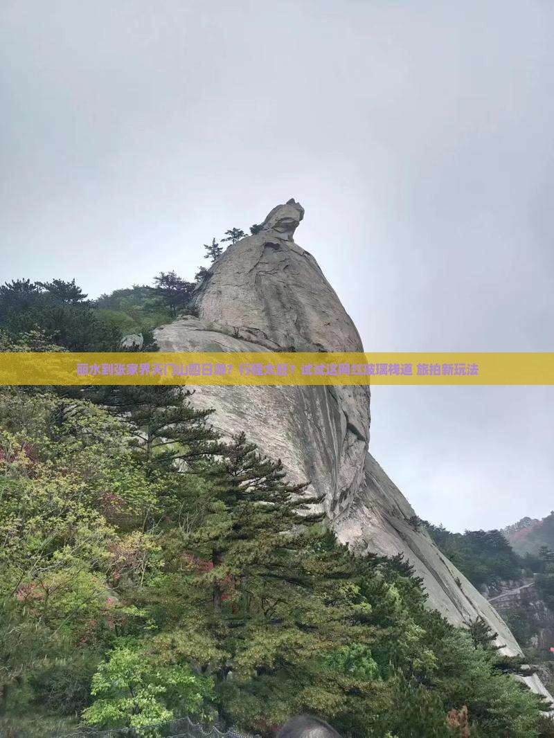 丽水到张家界天门山四日游