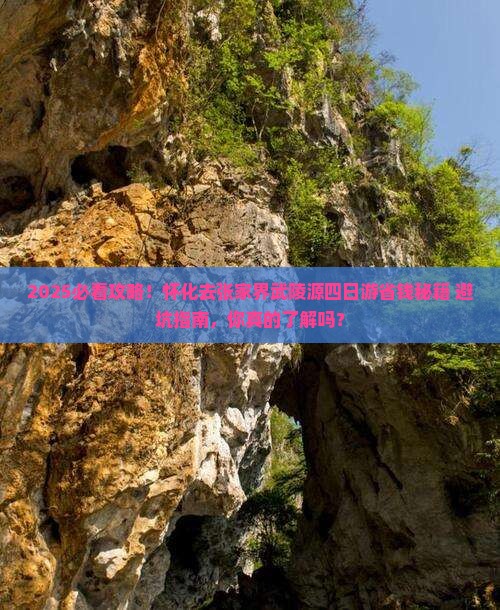 怀化去张家界武陵源四日游