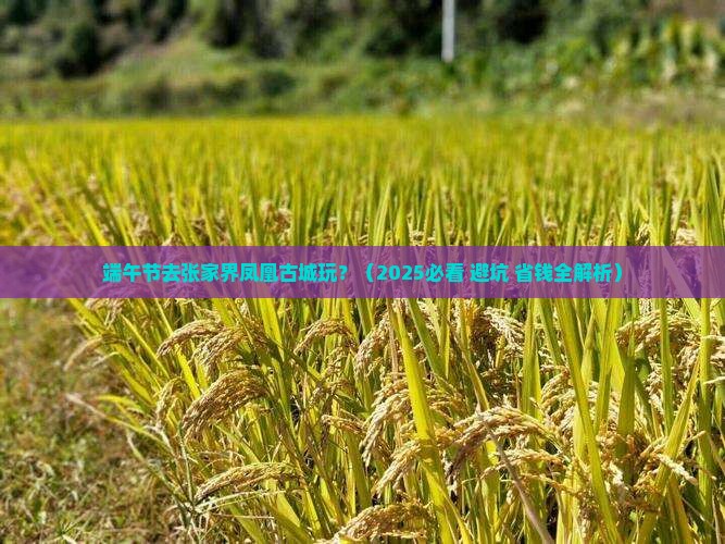 端午节到张家界凤凰古城攻略