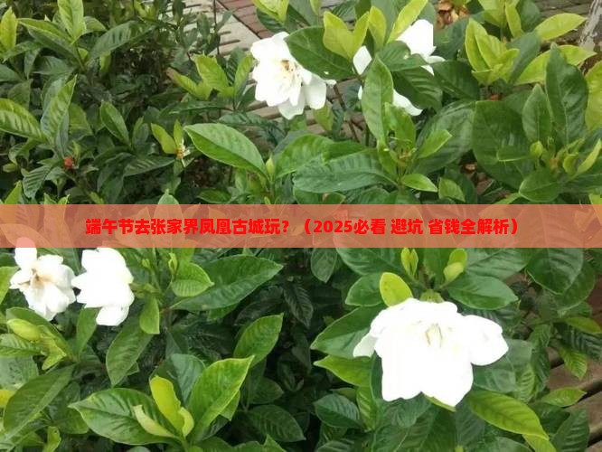 端午节到张家界凤凰古城攻略