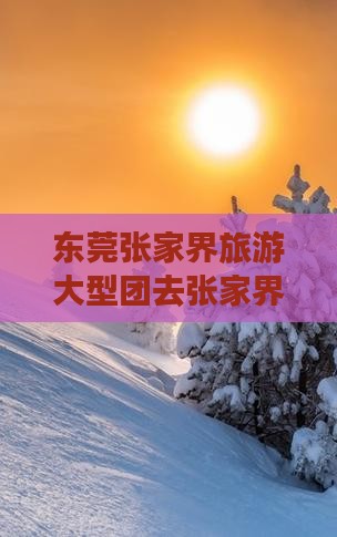 东莞去张家界大峡谷大型旅游团