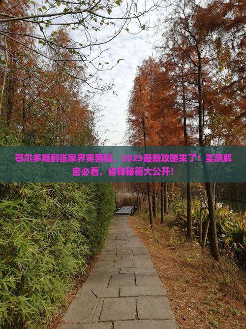 鄂尔多斯到张家界芙蓉镇哪里玩