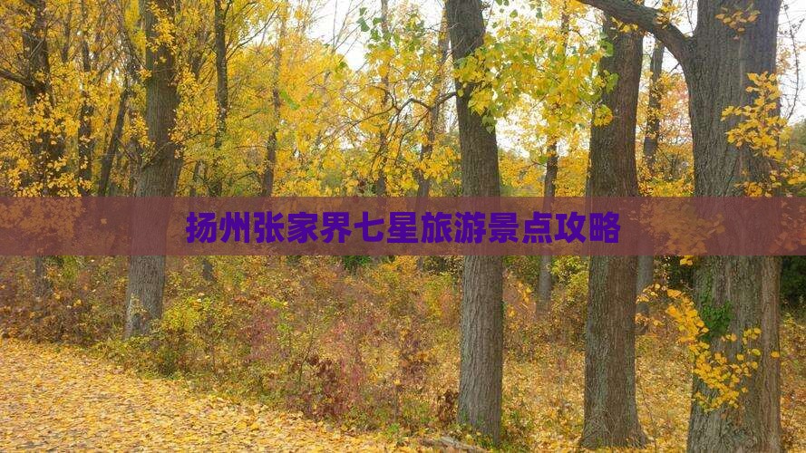 扬州去张家界七星山大型旅游团