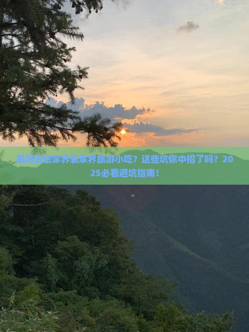 黑河去张家界袁家界旅游小吃