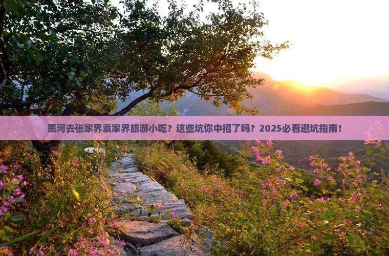黑河去张家界袁家界旅游小吃