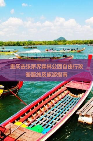 重庆去张家界森林公园自由行