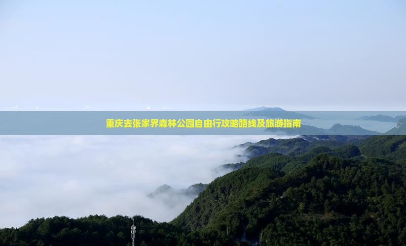 重庆去张家界森林公园自由行