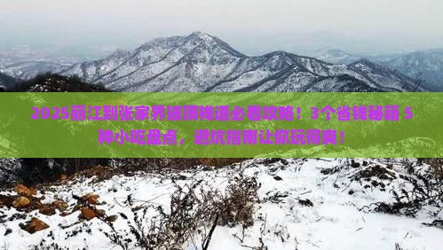 丽江到张家界玻璃栈道旅游小吃