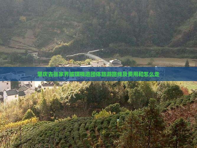 肇庆去张家界玻璃栈道团体旅游