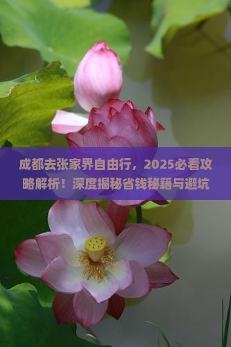 成都去张家界自由行