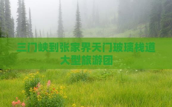三门峡到张家界玻璃栈道大型旅游团