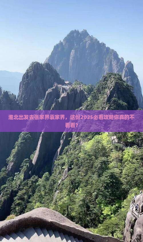 淮北到张家界袁家界个人游