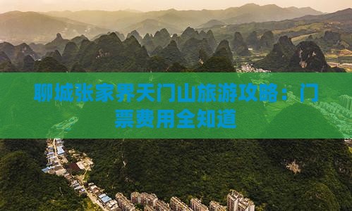 聊城到张家界天门山门票