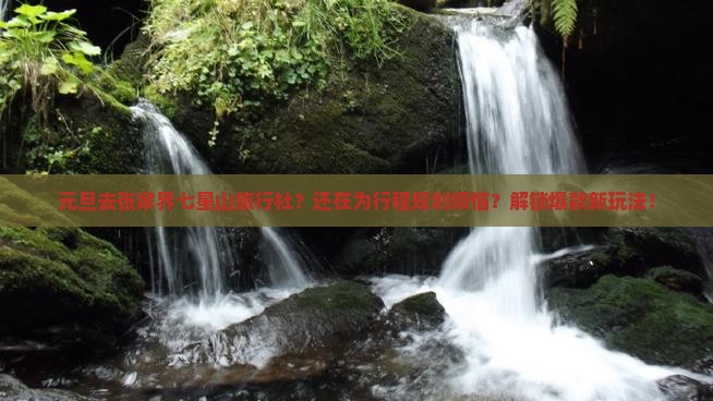 元旦去张家界七星山旅行社