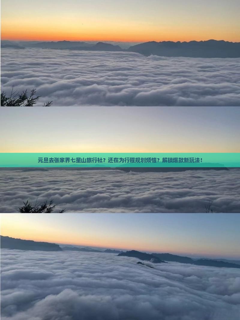 元旦去张家界七星山旅行社