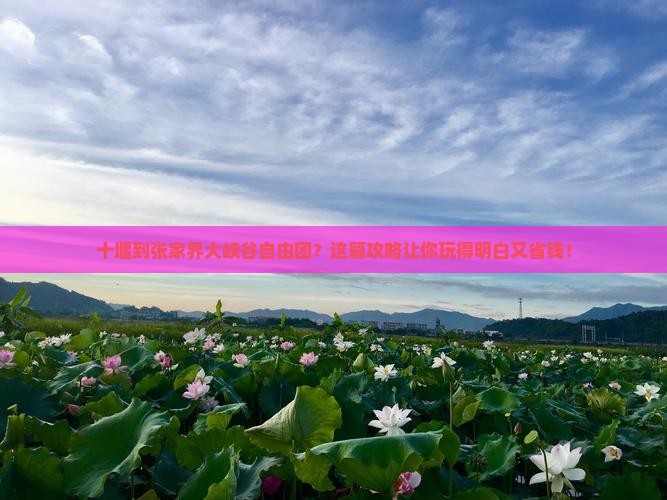 十堰到张家界大峡谷自由团