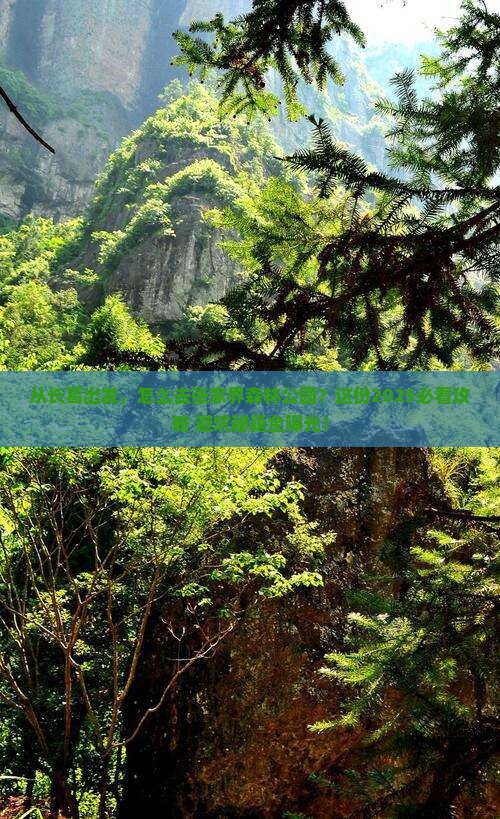 长葛去张家界森林公园景点