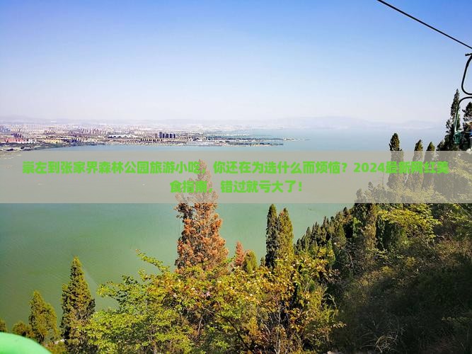 崇左到张家界森林公园旅游小吃