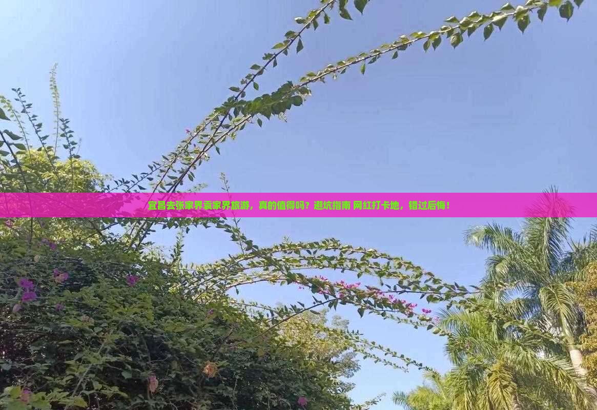 宜昌去张家界袁家界旅游
