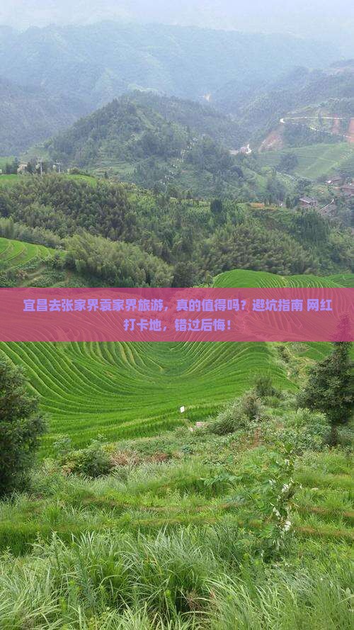 宜昌去张家界袁家界旅游