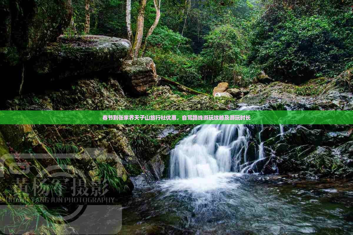 春节到张家界天子山旅行社