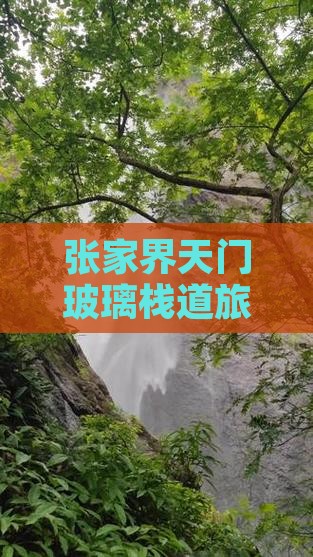 湘西去张家界玻璃栈道旅行社