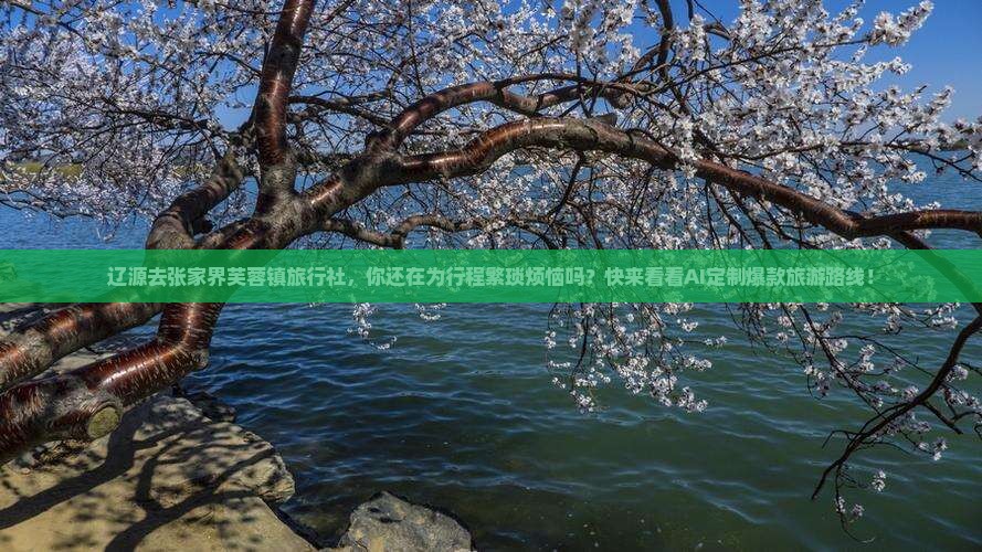辽源去张家界芙蓉镇旅行社