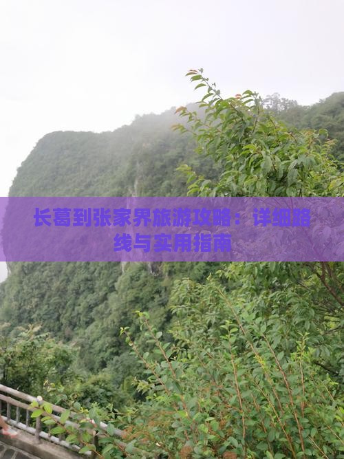 长葛到张家界攻略
