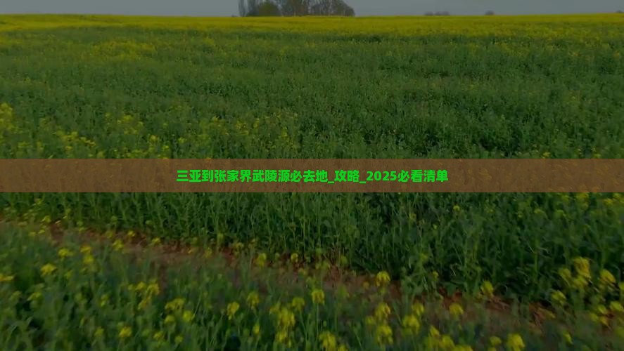 三亚到张家界武陵源必去地 三亚到张家界武陵源必去地