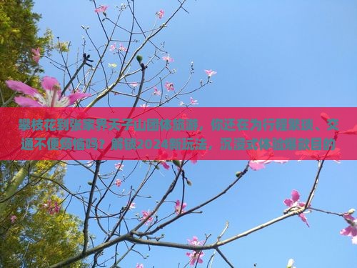 攀枝花到张家界天子山团体旅游