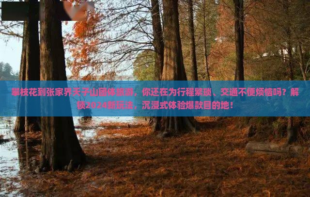 攀枝花到张家界天子山团体旅游