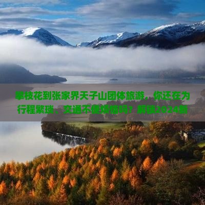 攀枝花到张家界天子山团体旅游