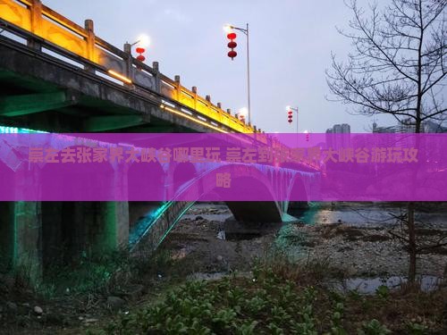 崇左去张家界大峡谷哪里玩