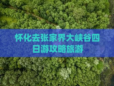 怀化去张家界大峡谷四日游