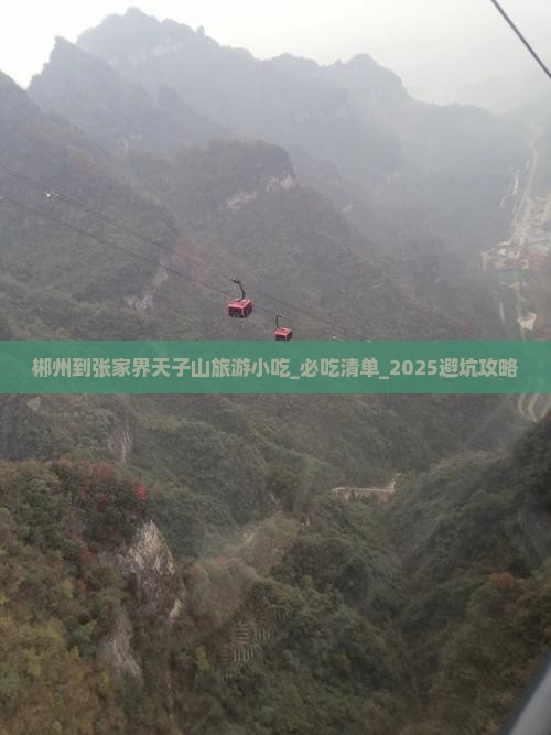 郴州到张家界天子山旅游小吃