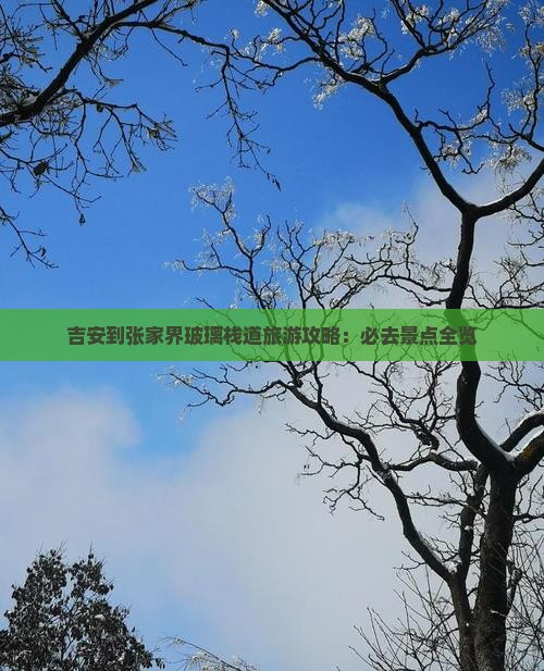 吉安到张家界玻璃栈道旅游