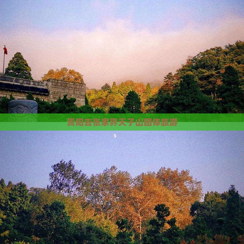 贵阳去张家界天子山团体旅游
