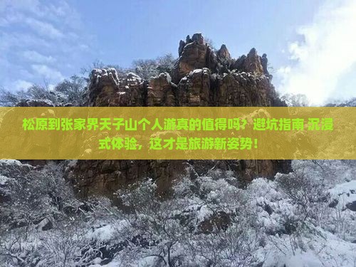 松原到张家界天子山个人游