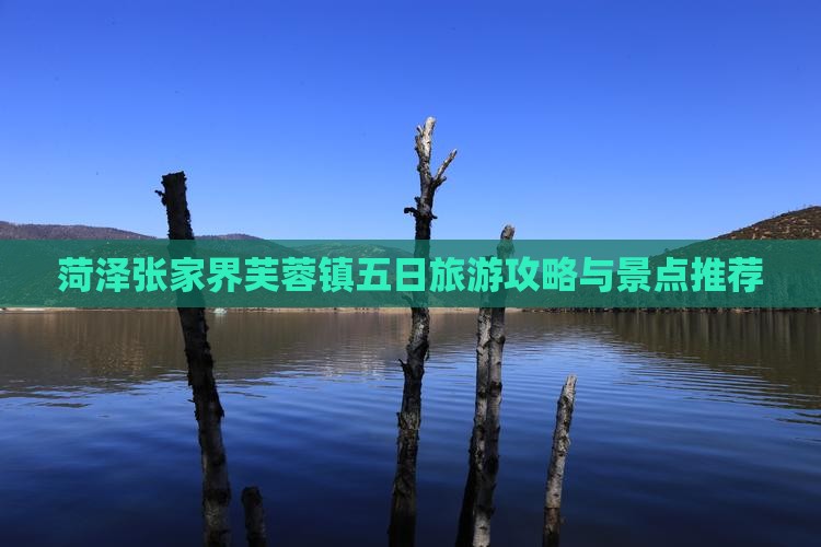 菏泽到张家界芙蓉镇五日游