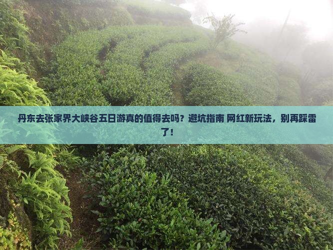 丹东去张家界大峡谷五日游