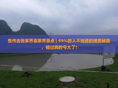 焦作去张家界袁家界景点