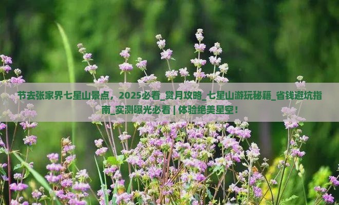 中秋节去张家界七星山景点