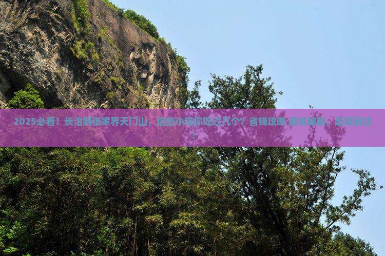 长治到张家界天门山旅游小吃