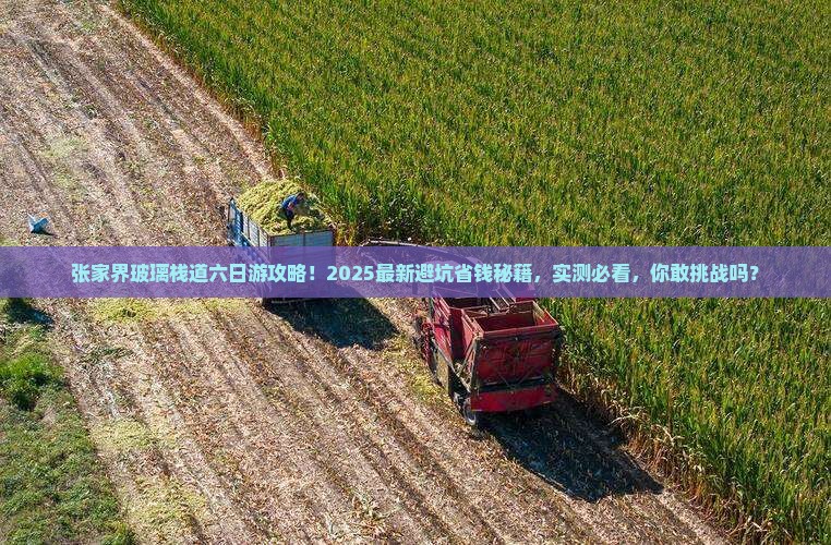 张家界去张家界玻璃栈道六日游