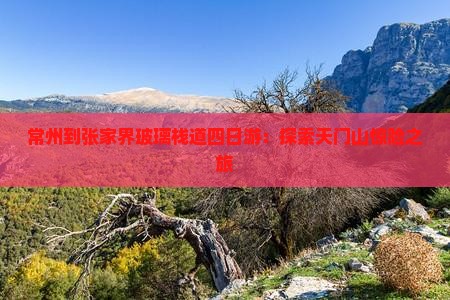 常州到张家界玻璃栈道四日游：探索天门山惊险之旅